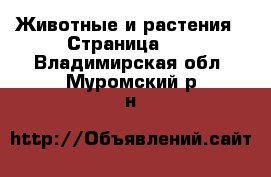  Животные и растения - Страница 14 . Владимирская обл.,Муромский р-н